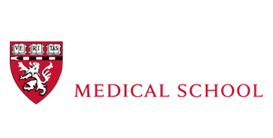 Marquee Image (Dark)